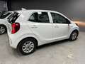 Kia Picanto 1.0 MPi DynamicPlusLine|Cam|CarPlay|Cruise Bianco - thumbnail 6