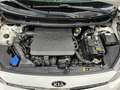 Kia Picanto 1.0 MPi DynamicPlusLine|Cam|CarPlay|Cruise Wit - thumbnail 38