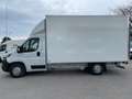 Peugeot Boxer KO LBW L4 165 Leichtbau *NEUWAGEN mit TZ* Weiß - thumbnail 2