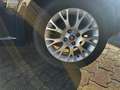 Fiat Punto Evo Punto Evo 5p 1.2 Active 69cv Blu/Azzurro - thumbnail 11