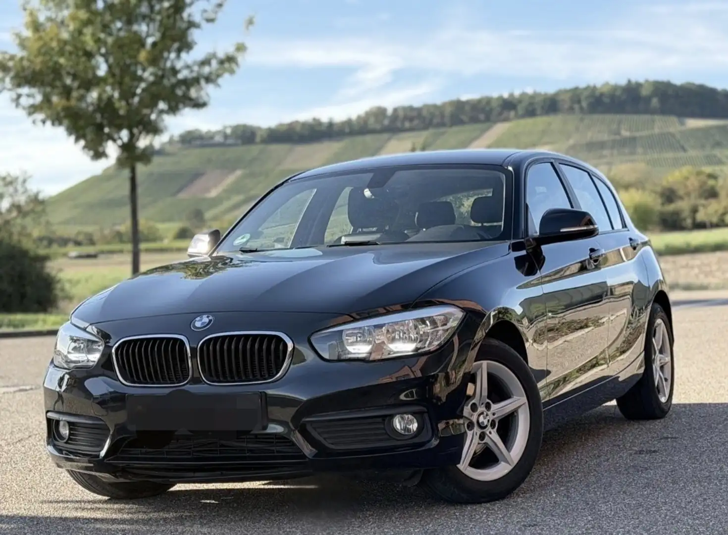 BMW 116 116d advantage - 1