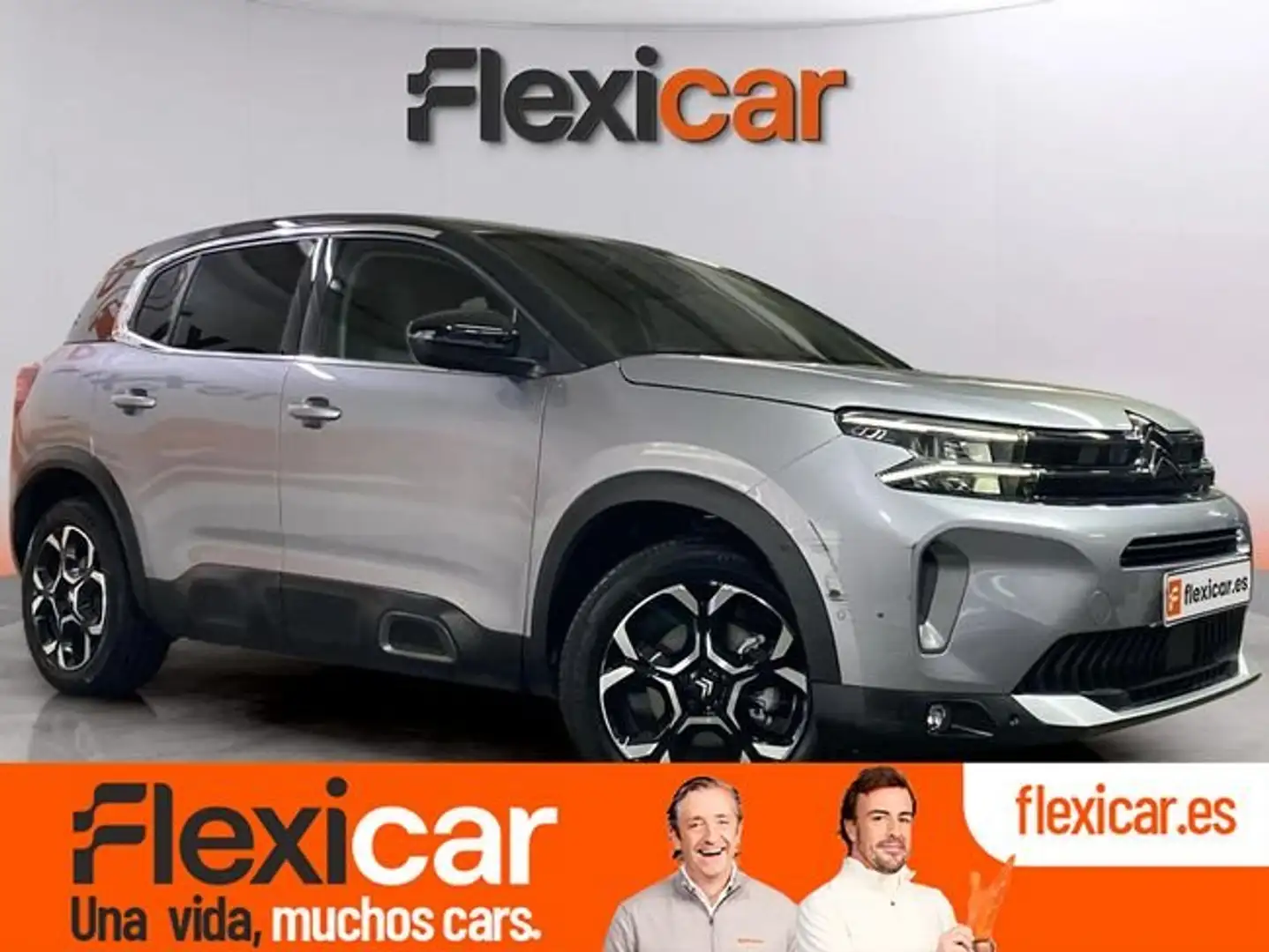 Citroen C5 Aircross BlueHDi S&S Max EAT8 130 Gris - 1