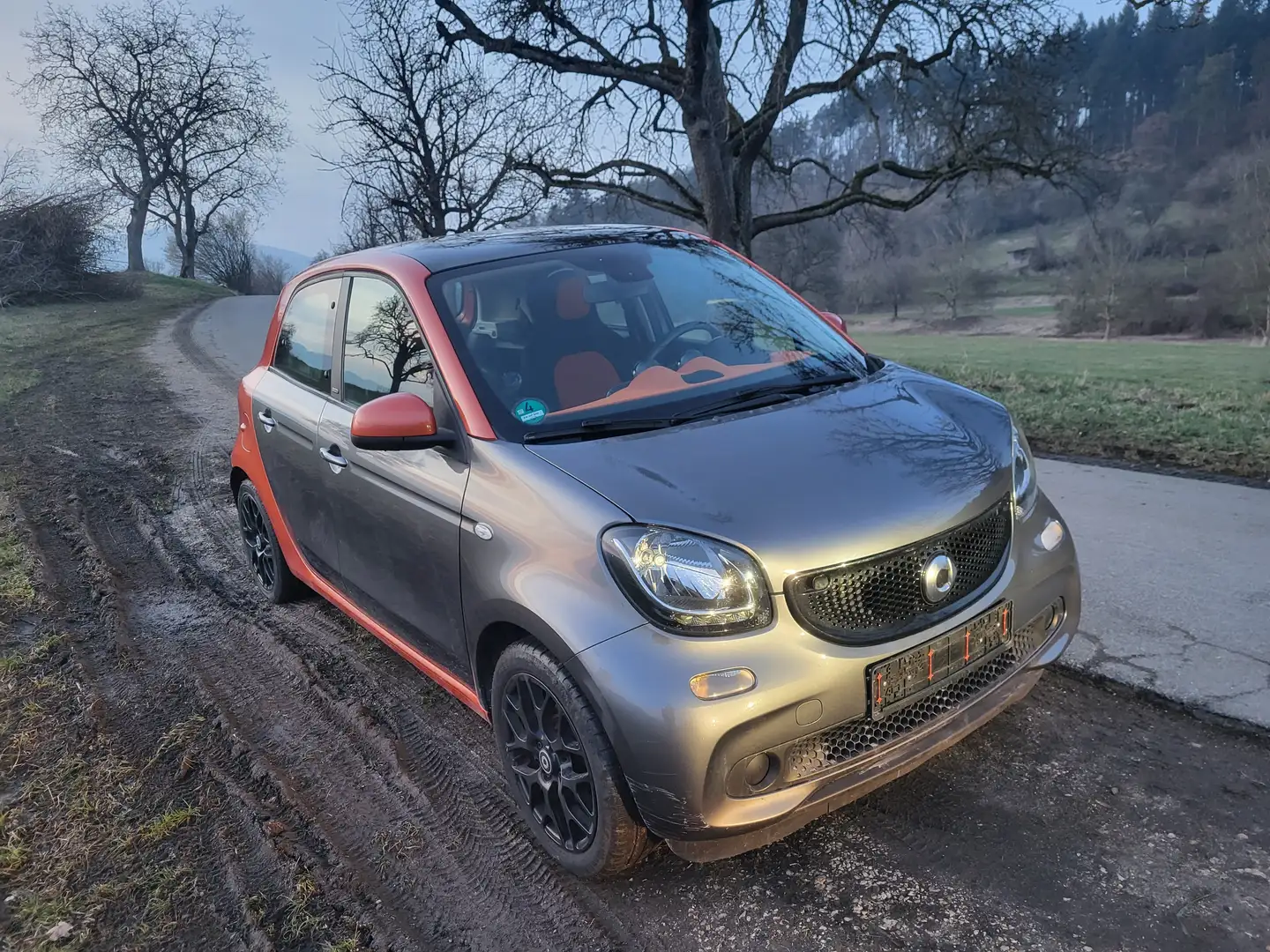 smart forFour Edition Gris - 2