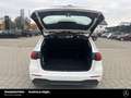 Mercedes-Benz B 180 B 180 d Progressive Advanced Kamera Navi-groß LED Weiß - thumbnail 17