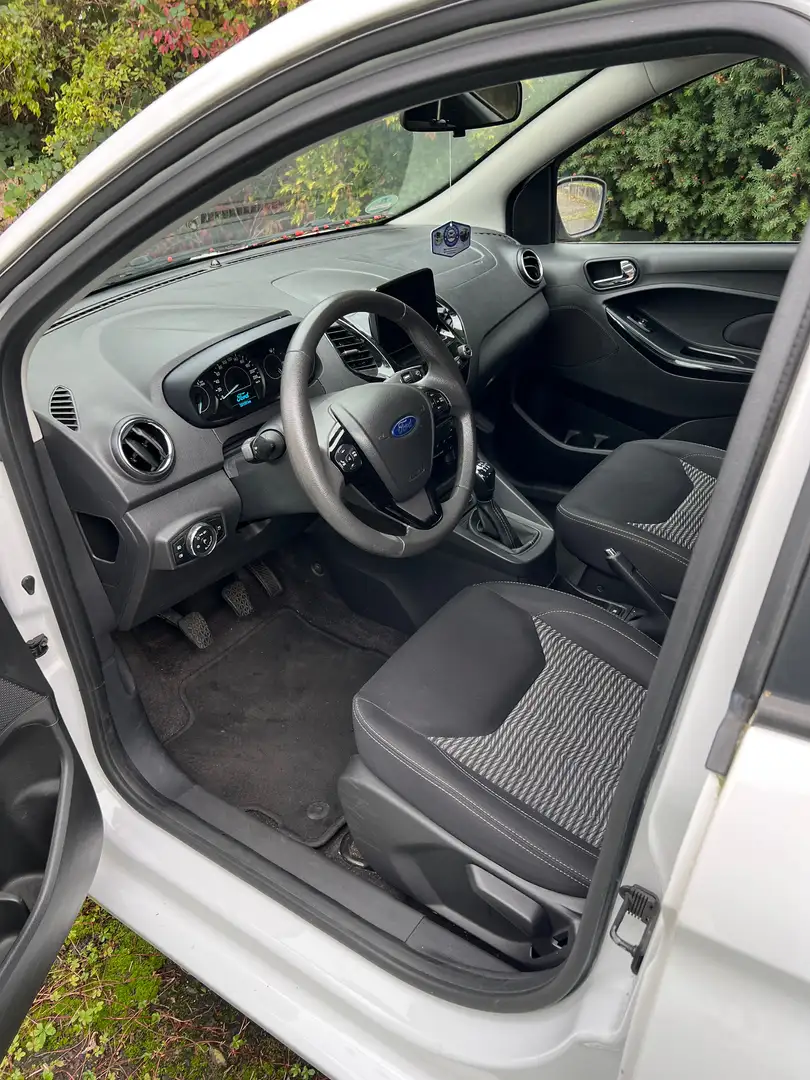Ford Ka/Ka+ Black / White - 1