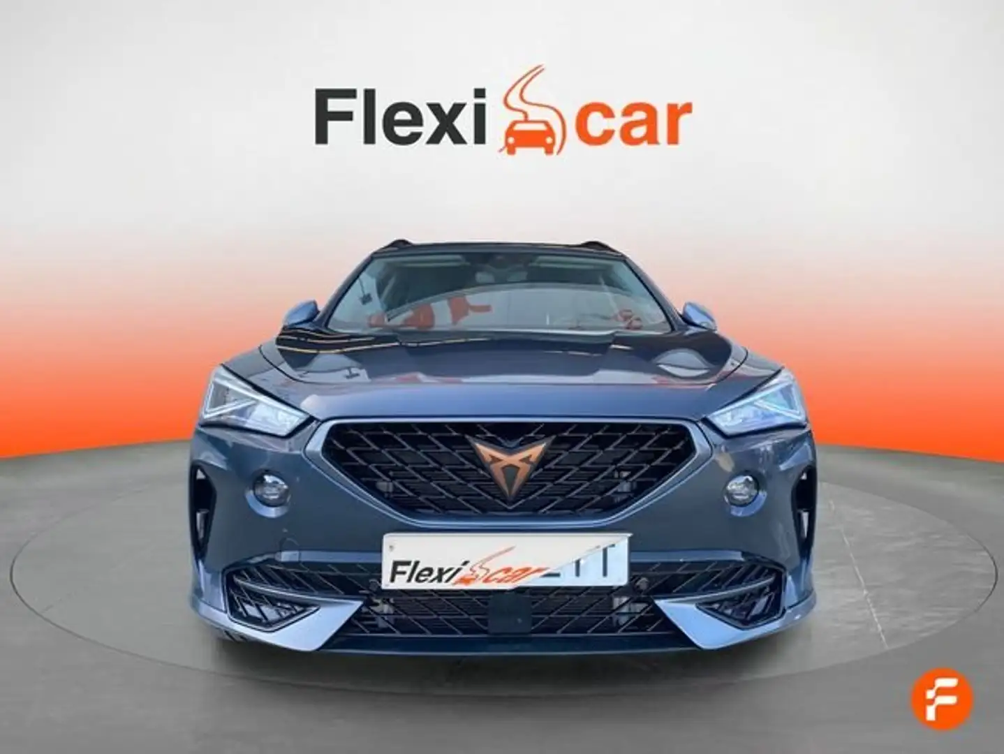CUPRA Formentor 2.0 TDI 150 DSG 4Drive Gris - 2