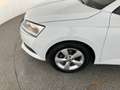 Skoda Fabia Active TSI Weiß - thumbnail 10