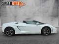 Lamborghini Gallardo LP 560-4 Einmalig wie aus dem Laden 1HD Blanco - thumbnail 8