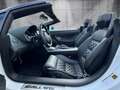 Lamborghini Gallardo LP 560-4 Einmalig wie aus dem Laden 1HD Blanco - thumbnail 10