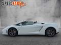 Lamborghini Gallardo LP 560-4 Einmalig wie aus dem Laden 1HD Blanco - thumbnail 2