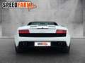 Lamborghini Gallardo LP 560-4 Einmalig wie aus dem Laden 1HD Blanco - thumbnail 5