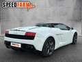 Lamborghini Gallardo LP 560-4 Einmalig wie aus dem Laden 1HD Blanco - thumbnail 7
