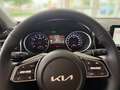 Kia Ceed SW / cee'd SW ceed SW 1,5 TGDI Gold Blau - thumbnail 10