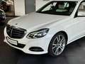 Mercedes-Benz E 400 V6 CGI Elegance*Traumhaft*Kamera*H&K*Nappa Weiß - thumbnail 1