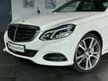 Mercedes-Benz E 400 V6 CGI Elegance*Traumhaft*Kamera*H&K*Nappa Weiß - thumbnail 9