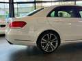 Mercedes-Benz E 400 V6 CGI Elegance*Traumhaft*Kamera*H&K*Nappa Weiß - thumbnail 10
