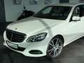 Mercedes-Benz E 400 V6 CGI Elegance*Traumhaft*Kamera*H&K*Nappa Weiß - thumbnail 7