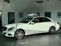 Mercedes-Benz E 400 V6 CGI Elegance*Traumhaft*Kamera*H&K*Nappa Weiß - thumbnail 2
