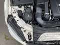 Mercedes-Benz C 250 AUT LED NAVI SHZ PDC Biały - thumbnail 14