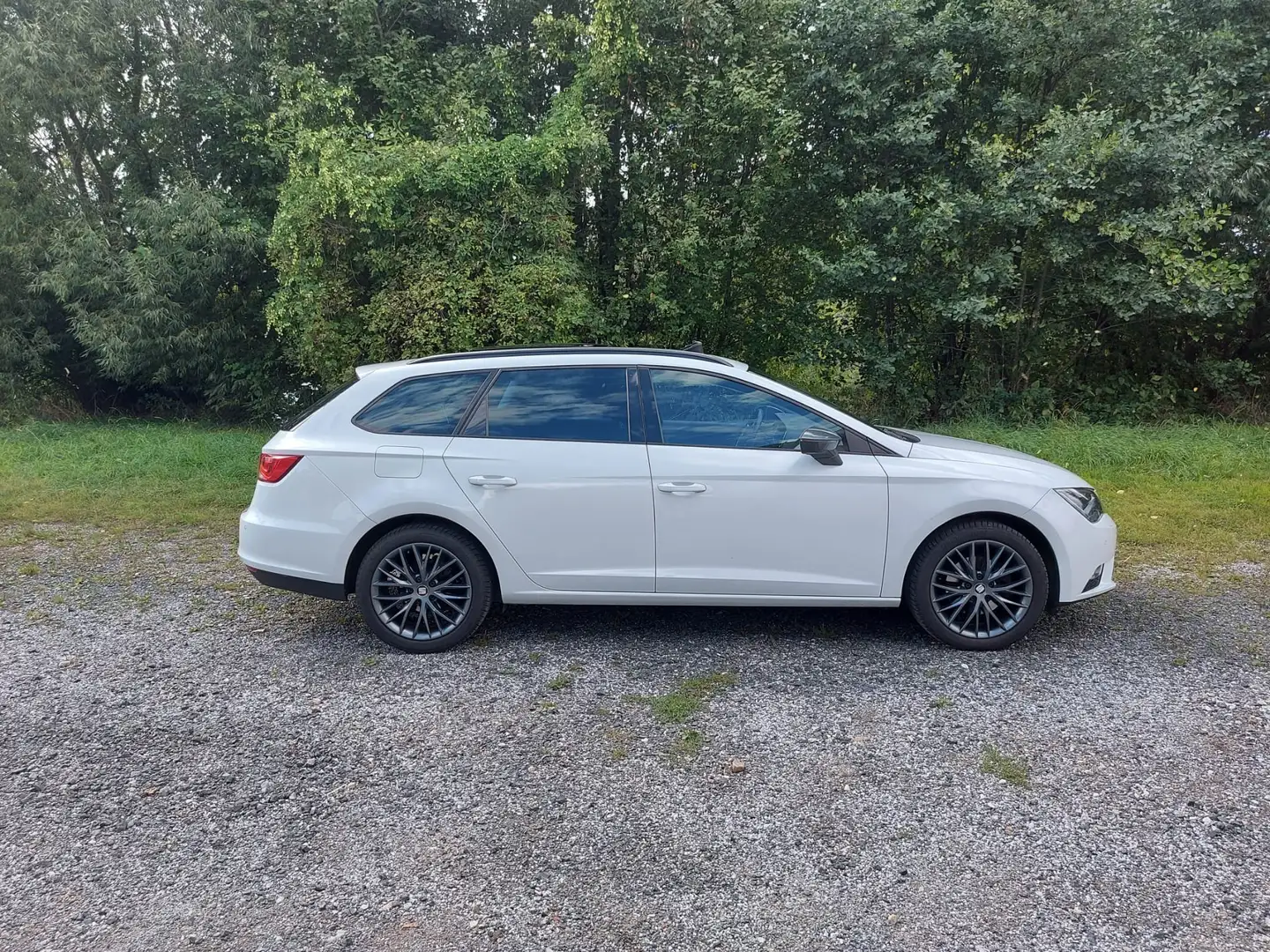 SEAT Leon Leon ST Executive 1,6 TDI CR Executive Weiß - 1