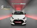 Toyota Yaris 120H 1.5 Business Plus Blanco - thumbnail 2