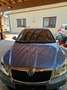 Skoda Octavia Octavia Combi 1,4 TSI Elegance DSG Elegance Blau - thumbnail 4