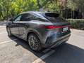 Lexus RX 350h RX 350h (hybrid) Luxury Line Grigio - thumbnail 9
