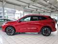 Ford Kuga ST-Line X 2,5l Plug-In Hybrid 243 PS #Pano Rood - thumbnail 7