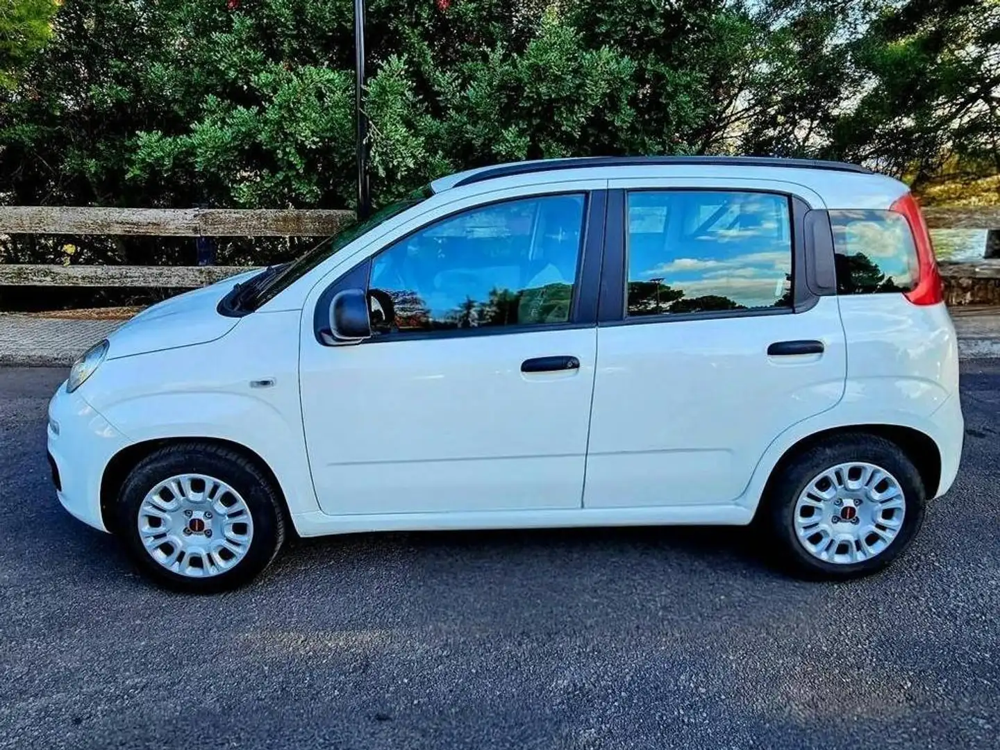 Fiat Panda Panda 1.2 Lounge Lounge Blanco - 2