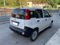 Fiat Panda Panda 1.0 GSE S&S Hybrid Van 2 posti Wit - thumbnail 4