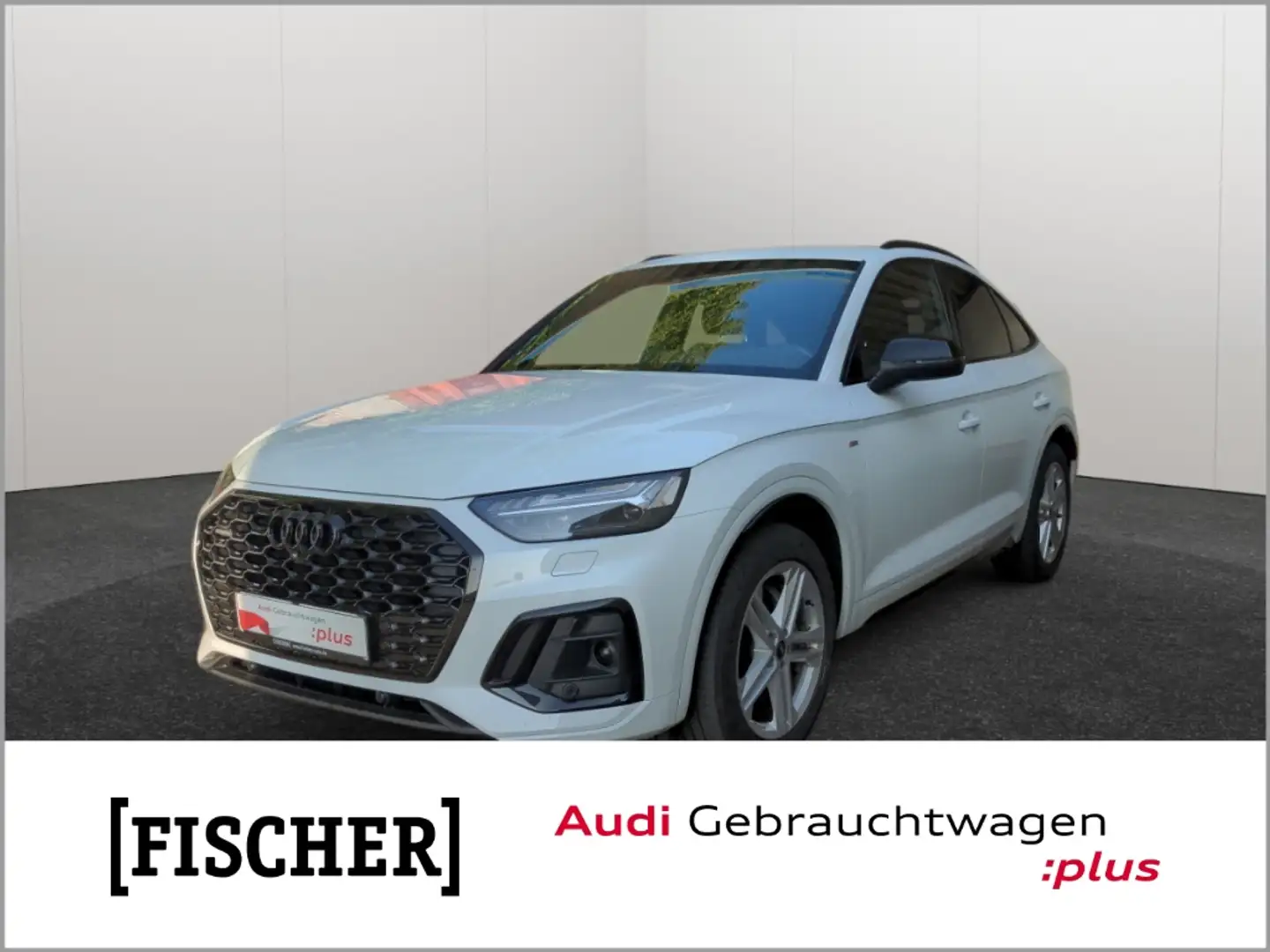 Audi Q5 Sportback 40TDI quattro S-tronic S line Matrix Nav Weiß - 1