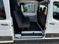 Ford Transit Doka Mixto 6Sitze L4,Gar. 2028 Modell 24 Blanco - thumbnail 11