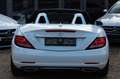 Mercedes-Benz SLC 300 9-G LEDER LED KEYLESS-GO KAMERA EU-6 Tem Weiß - thumbnail 7