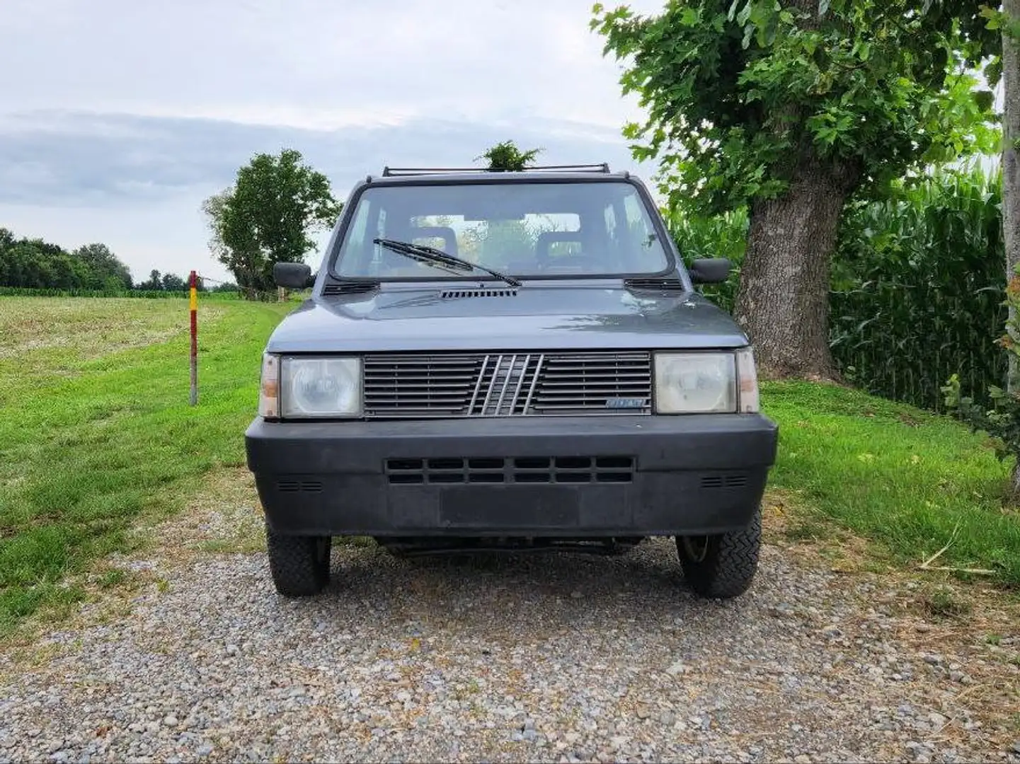 Fiat Panda SISLEY 4X4 Grigio - 2