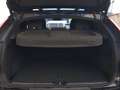 Volvo C40 Recharge Single Extended Range Eléctrico Plus Negro - thumbnail 13