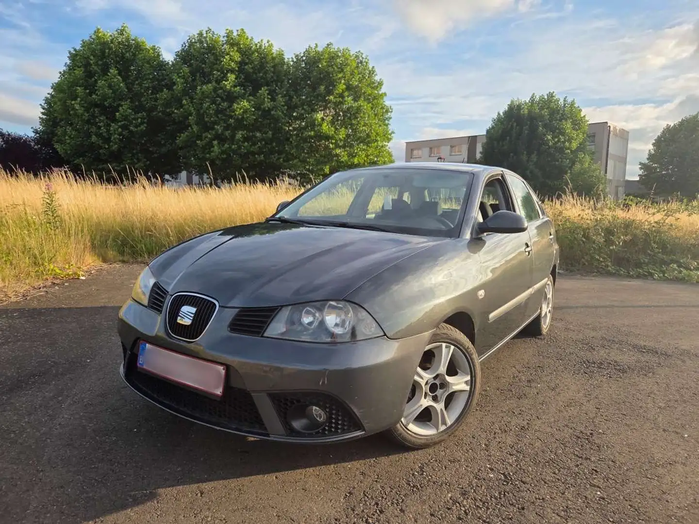 SEAT Ibiza prête à immatriculer / 1.4Tdi / 2007 - 1