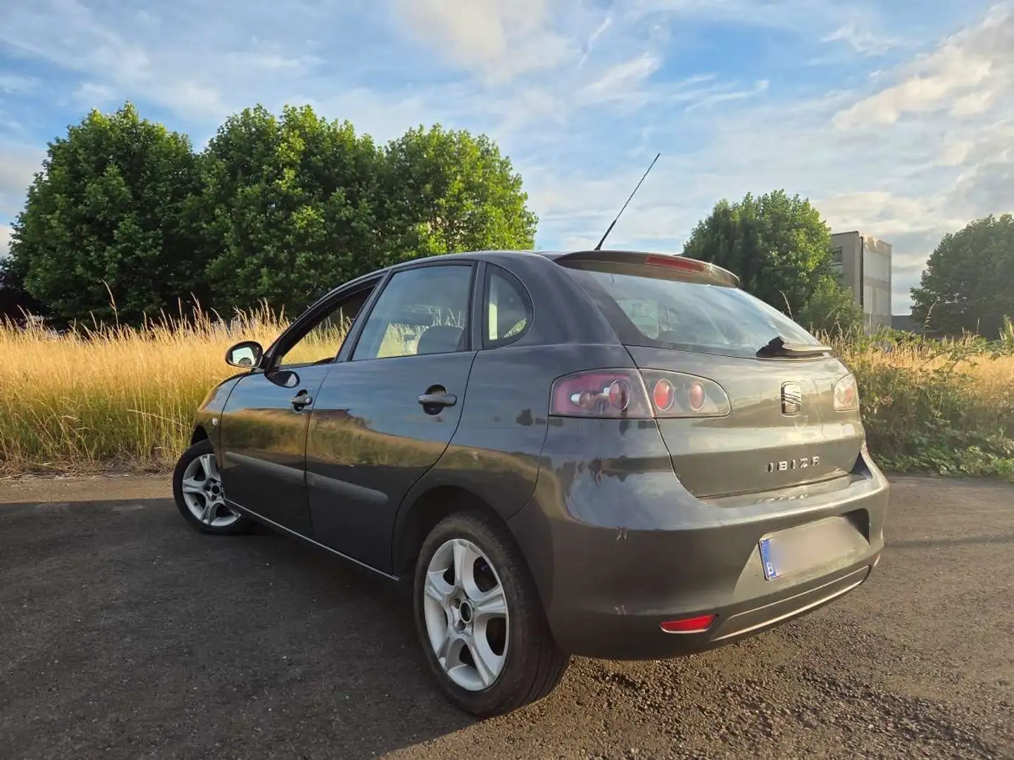 SEAT Ibiza prête à immatriculer / 1.4Tdi / 2007 - 2