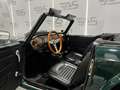 Triumph TR 6 PI Verde - thumbnail 39