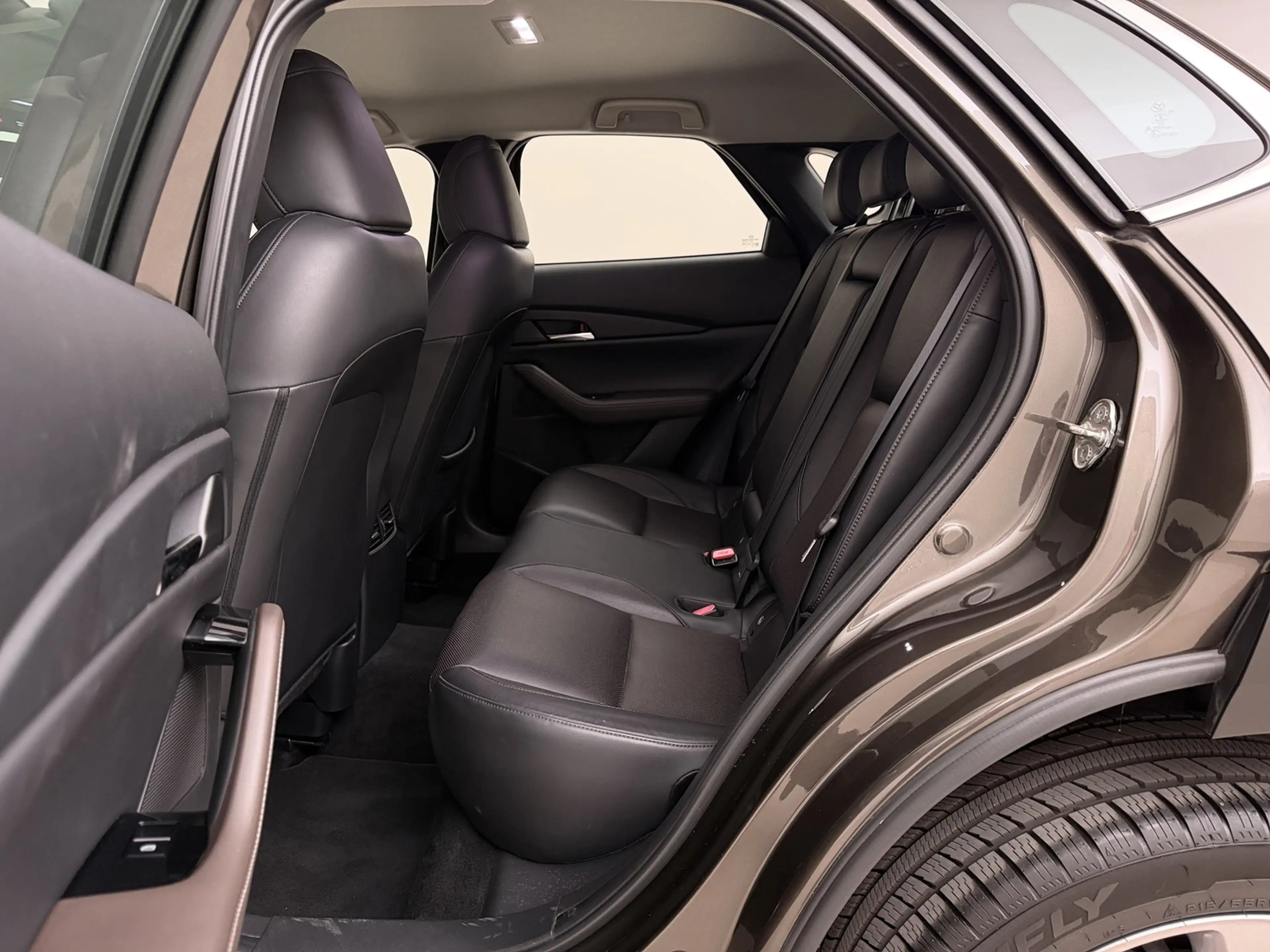 Mazda CX-30 2.0 e-SkyActiv-G M Hybrid Comfort I Leder I Elek. — photo 10