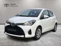 Toyota Yaris Yaris 5p 1.5h Cool my16 Blanc - thumbnail 1