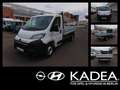 Opel Movano Pritsche 2.2 Blue-HDI L3 Allwetterreifen Wit - thumbnail 1