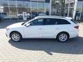 SEAT Leon LEON SPORTSTOURER ROAD EDITION 1.5 TSI FULL-LINK Weiß - thumbnail 18