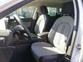 SEAT Leon LEON SPORTSTOURER ROAD EDITION 1.5 TSI FULL-LINK Weiß - thumbnail 7