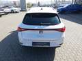 SEAT Leon LEON SPORTSTOURER ROAD EDITION 1.5 TSI FULL-LINK Weiß - thumbnail 21