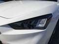 SEAT Leon LEON SPORTSTOURER ROAD EDITION 1.5 TSI FULL-LINK Weiß - thumbnail 20
