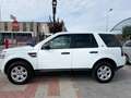 Land Rover Freelander Freelander 2.2 eD4 2WD S.W. S Bianco - thumbnail 3