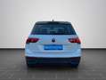 Volkswagen Tiguan 1.5 TSI DSG Active KAMERA ACC NAVI Weiß - thumbnail 6