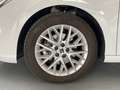 SEAT Ibiza 1.0 TSI S&S FR XS DSG 115 Weiß - thumbnail 4