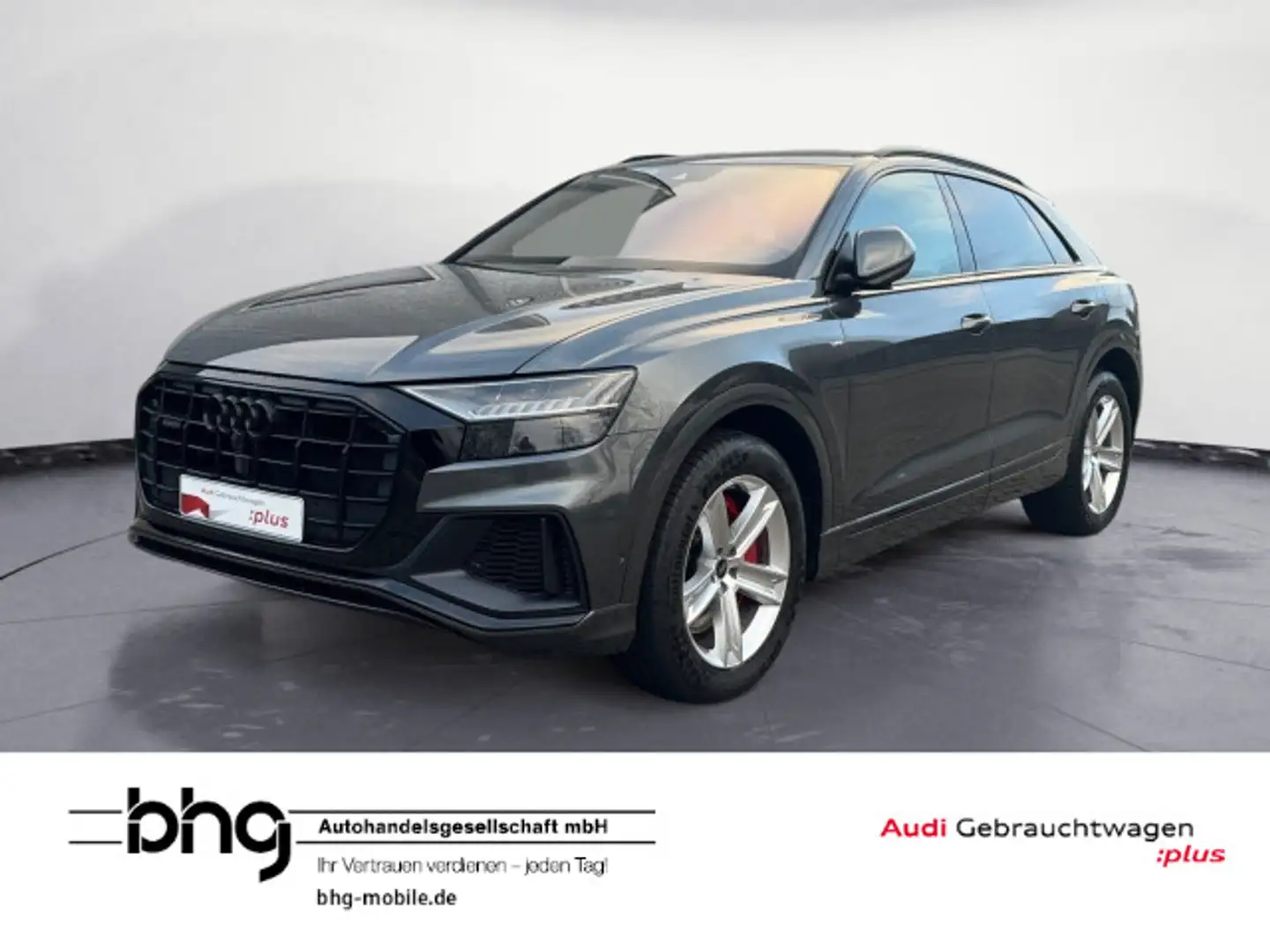 Audi Q8 55 TFSIe quattro tiptronic S line *Parken*HD Grau - 1