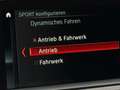 BMW 240 M240i xDrive Cabrio, H/K, Adaptives Fahrwerk, Navi Schwarz - thumbnail 39